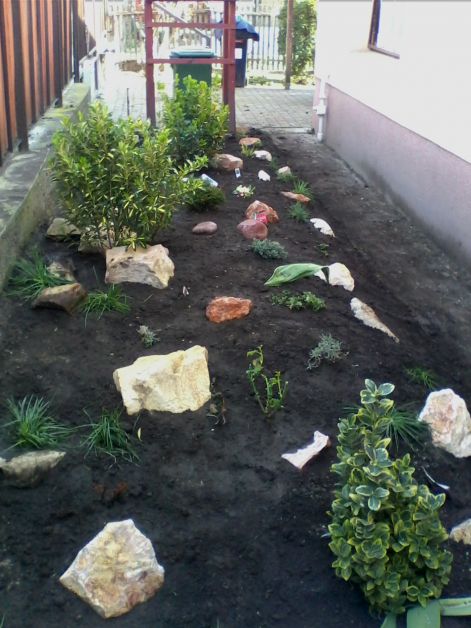img0365a.jpg