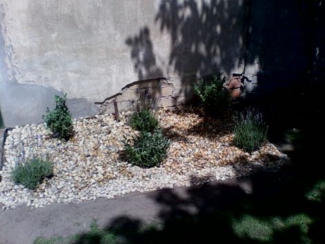 img0412a.jpg