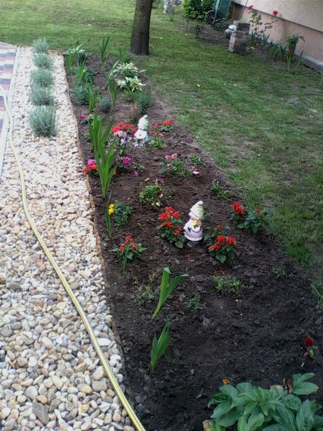 img0431a.jpg