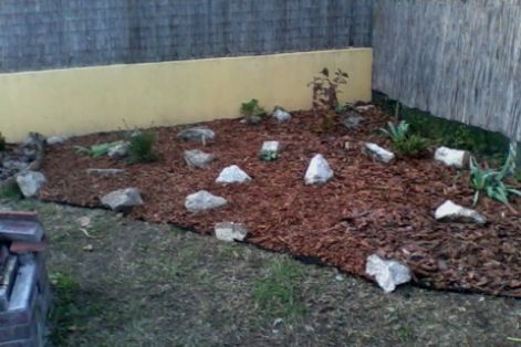 img0520a.jpg