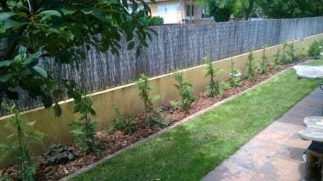 wp_20160705_003.jpg